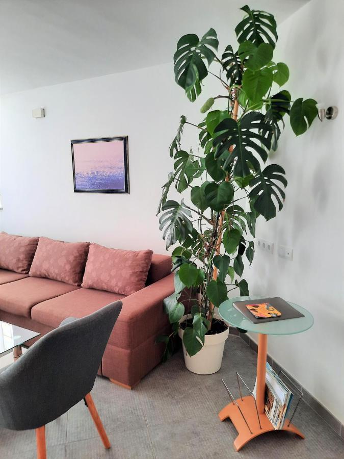Apartment Mato Barbariga Extérieur photo